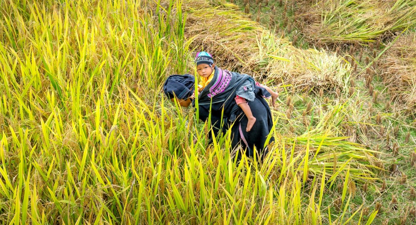 mother child farming